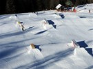 Ve snowparku na Nassfeldu