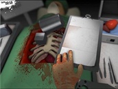 Surgeon Simulator 2013