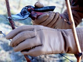 Startovalo se v pl deváté ráno. Soutící si v raním mrazíku museli chránit...