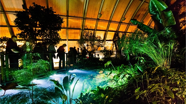 No�n� prohl�dky ve sklen�ku Fata Morgana v trojsk� botanick� zahrad�. 