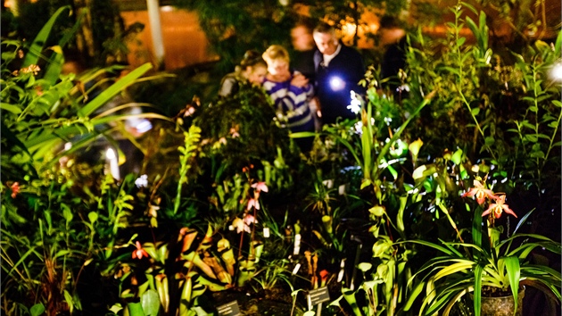 Noční prohlídky ve skleníku Fata Morgana v trojské botanické zahradě. 