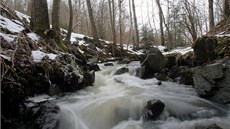 Údolní niva Rudolfovského potoka v Rudolfově u Českých Budějovic je chráněna