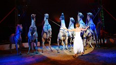Drezura koní na festivalu Circus Circus Classic v Praze