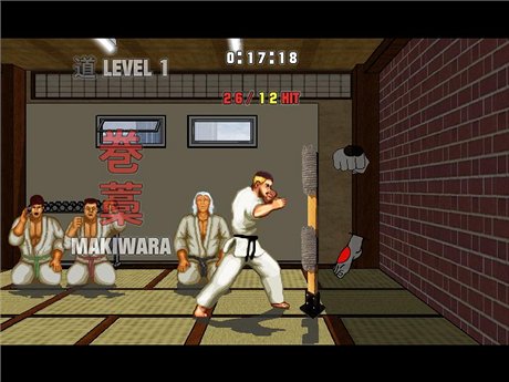 Karate Master Knock Down Blow