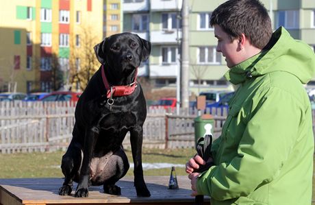 Patrik ídlo chodí svou fenku Roxy venit na speciální hit pro psy na