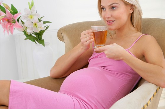 V těhotenství pomáhají bylinky jako máta, kopřiva nebo meduňka. (Ilustrační snímek)