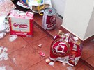 Dánští studenti demolovali zařízení hotelu značně posilněni alkoholem.