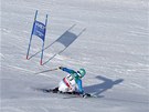 Nmecký slalomá Felix Neureuther na trati obího slalomu bhem MS ve