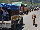 V celé Indii se jezdí se vlevo, i kon to vdí.