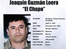 Hledaný íslo jedna, Joaquín Guzmán. 