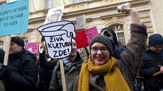 Demonstrace ped ministerstvem kultury. (14. února 2013)