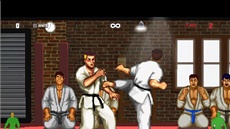 Karate Master Knock Down Blow