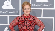 Adele na cenách Grammy za rok 2012