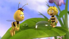 Ze seriálu V�elka Mája 3D