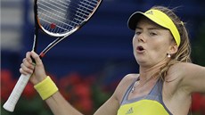 SLOVENSKÝ ÚSPCH. Daniela Hantuchová postoupila po 11 letech znovu do tvrtfinále US Open.