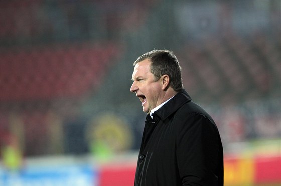 Kou plzeských fotbalist Pavel Vrba.