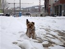 Sníh v Teplicích (24. února 2013)