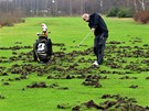 Divoáci loni rozryli také golfové hit v Lázních Bohdane. Foto: Michal