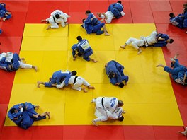 JUDO JAKO INSPIRACE.  Desítky vyznavau juda trénují ve slavném institutu juda...