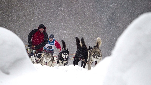 Zvody musher Ledov jzda, Lnov.