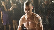 Matthew Fox ve filmu Vraedná hra (2012) 