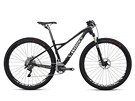 Specialized S-Works Fate Carbon 29 