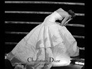 Pád Jennifer Lawrence na Oscarech inspiroval k vtipné "reklam" na Dior.