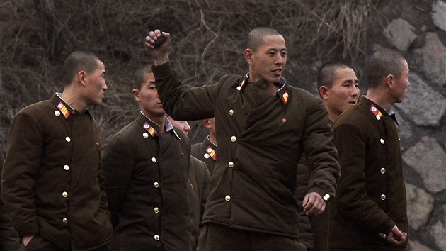 Cvien severokorejsk armdy (8. bezna 2013)