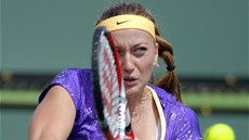 Petra Kvitová v utkání s Olgou Govorcovovou.