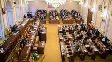 Poslanecká sněmovna (ilustrační snímek)