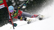 Ted Ligety p�i ob�í slalomu, který hostila Kranjska Gora