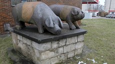 Nejbizarnější sochou v Plzeňském kraji čtenáři zvolili přeštické vepříky.