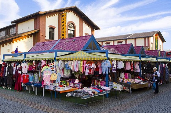 Holeovická trnice (ilustraní foto)