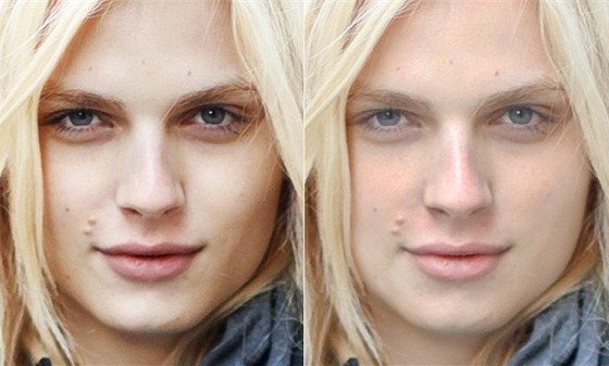 Je na fotografii ena, nebo mu? Ano, je to model Andrej Pejic, který na pehlídkách pedvádí dámské kolekce.