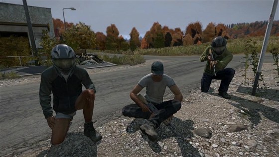 DayZ