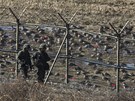 Jihokorejtí vojáci kráí kolem demilitarizovaného pásma, které od války...