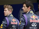 VÍTZOVÉ. Jezdci Red Bullu Sebastian Vettel a Mark Webber tsn po kvalifikaci