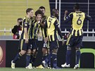 Fotbalisté Fenerbahce Istanbul se radují ze vstřeleného gólu.