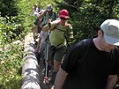 Turisté na stezce Trojmezenským pralesem pozorují, jak tu probíhá pírodní