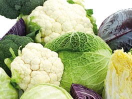 Jednikou mezi zeleninou, která podporuje imunitní systém, je prakticky vekerá...