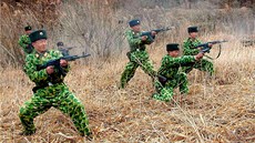 Severokorejtí vojáci pi armádním cviení na neupesnném míst v KLDR. (11....