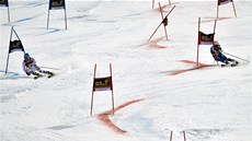 Maria Pietilae-Holmerová (vlevo) ze �védska a Veronique Hroneková z N�mecka