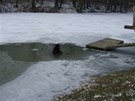 Hasii zachránili psa, pod kterým se v Markvartovicích proboil led.