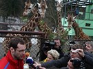 Branká Petr ech odpovídá reportérm v olomoucké zoo na Svatém kopeku pi