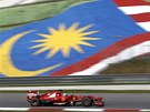 Fernando Alonso pi tréninku na Velkou cenu Malajsie 