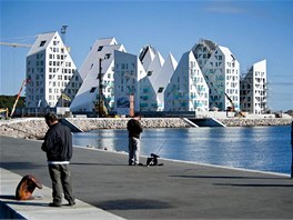 Kategorie: Nejlepí rezidenní projekt Projekt: Isbjerget / The Iceberg....