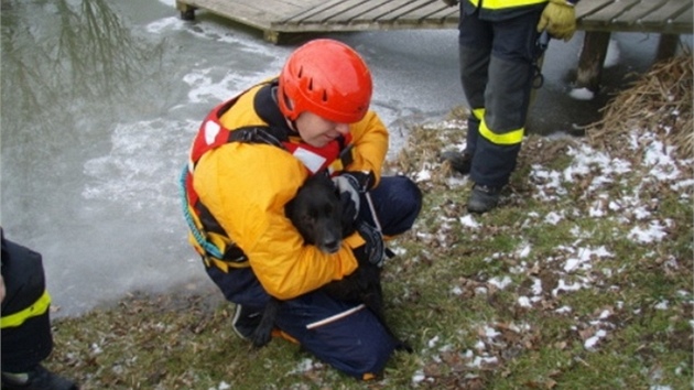 Hasii zachrnili psa, pod kterm se v Markvartovicch proboil led.