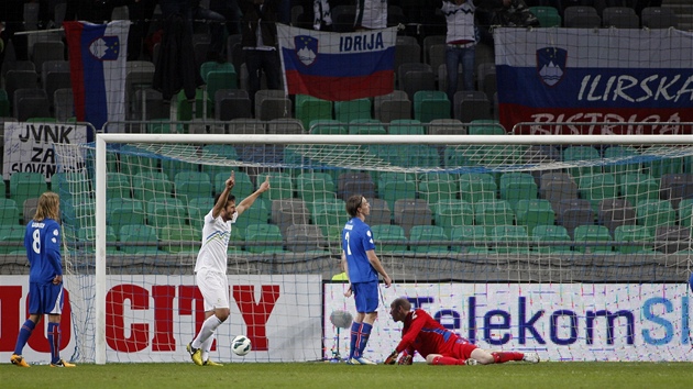 Slovinsk fotbalista Zlatan Ljubijanki se raduje z glu do st Islandu v kvalifikanm utkn o postup na MS 2014.