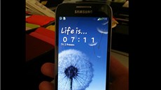 Samsung Galaxy S 4 mini