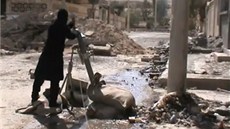 Syrský povstalec nabíjí minomet na předměstí Damašku (25. března 2013)